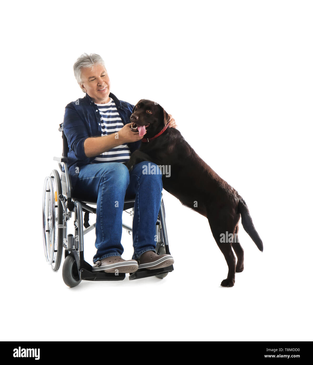 Man en fauteuil roulant avec son chien sur fond blanc Banque D'Images