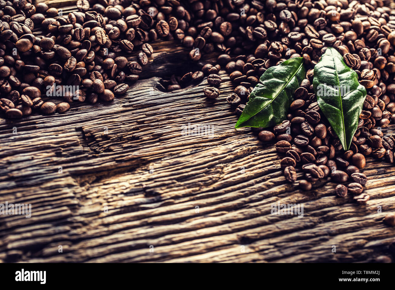 Haut de voir les grains de café et feuilles vertes sur table en chêne rustique Banque D'Images