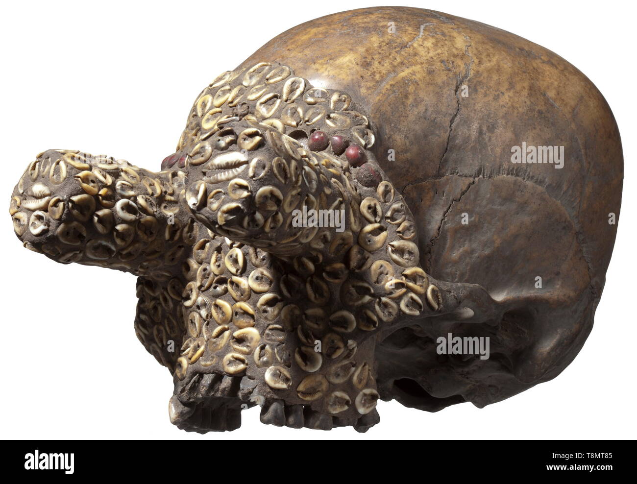 Un crâne de l'ancêtre crâne humain sans mâchoire inférieure, la face interne des dents manquantes. Le visage abondamment décoré de cauris et de graines. Fortement saillants, stylisée, les yeux cylindriques. Les surfaces osseuses et patiné frottée. Hauteur 17 cm., historique, historique de l'archipel indonésien, l'Indonésie, l'Extrême-Orient, Asie, Asiatique, l'ethnologie, l'appartenance ethnique, tribale, ethnique, objet, objets, alambics, clipping, coupures, cut out, cut-out, cut-outs,-Additional-Rights Clearance-Info-Not-Available Banque D'Images