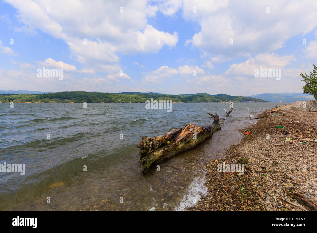 Danube paysage d'arbre dans l'eau près de la rive. Banque D'Images