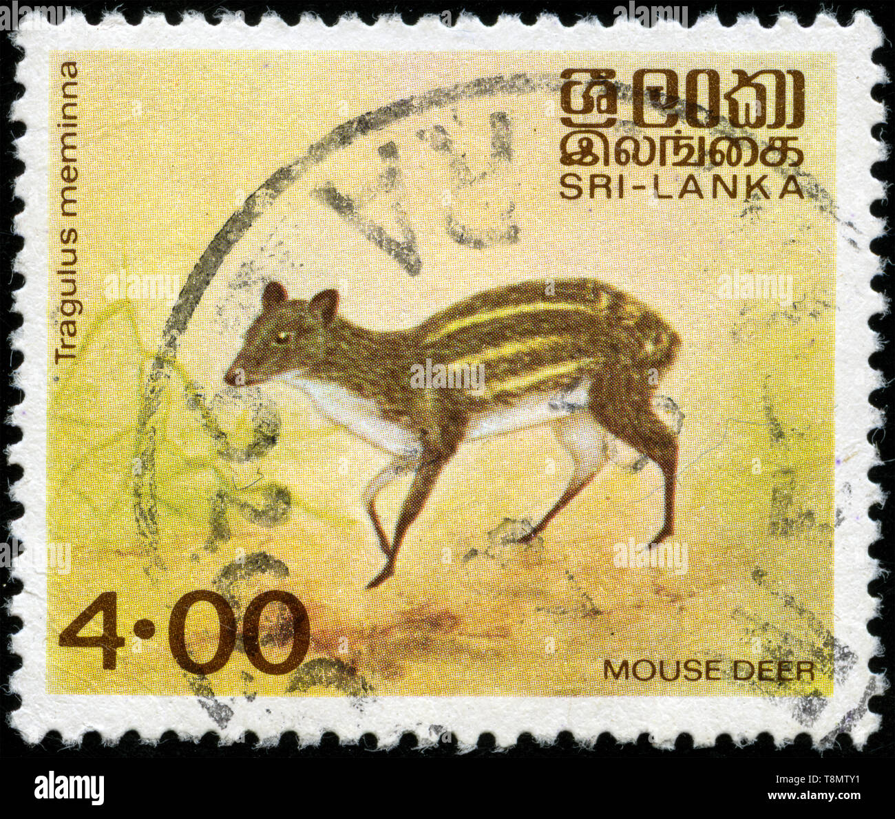 Timbre-poste du Sri Lanka dans les animaux indigènes série émise en 1981 Banque D'Images