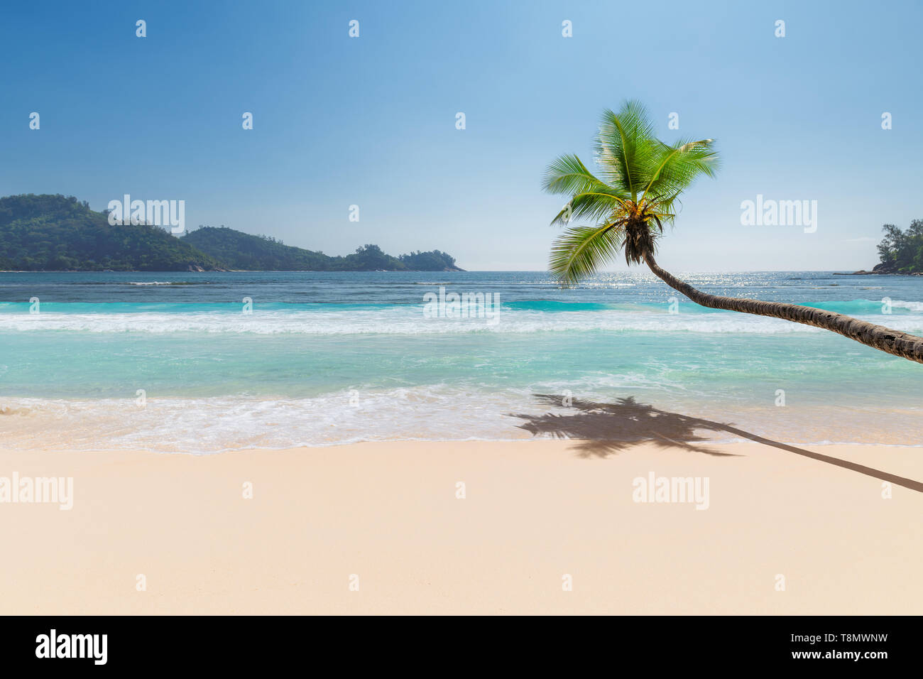 Belle plage ensoleillée avec coco palm et la mer turquoise sur les Seychelles. Banque D'Images
