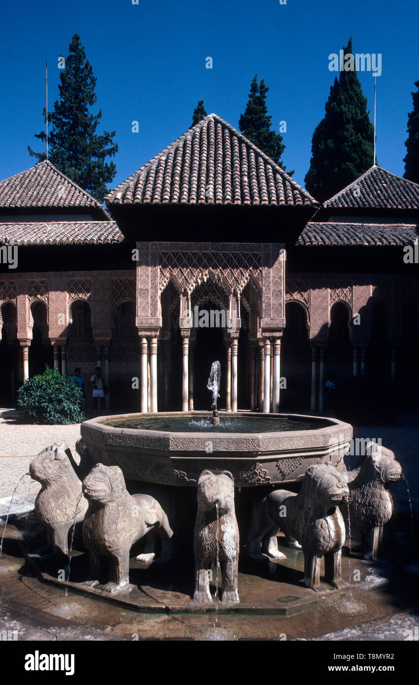 Patio de los Leones, de l'Alcazar, Grenade, Andalousie, Espagne, Europe Banque D'Images