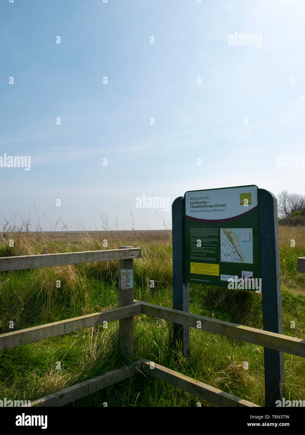 - Saltfleetby Theddlethorpe Dunes, Lincolnshire, Angleterre, Royaume-Uni. Banque D'Images