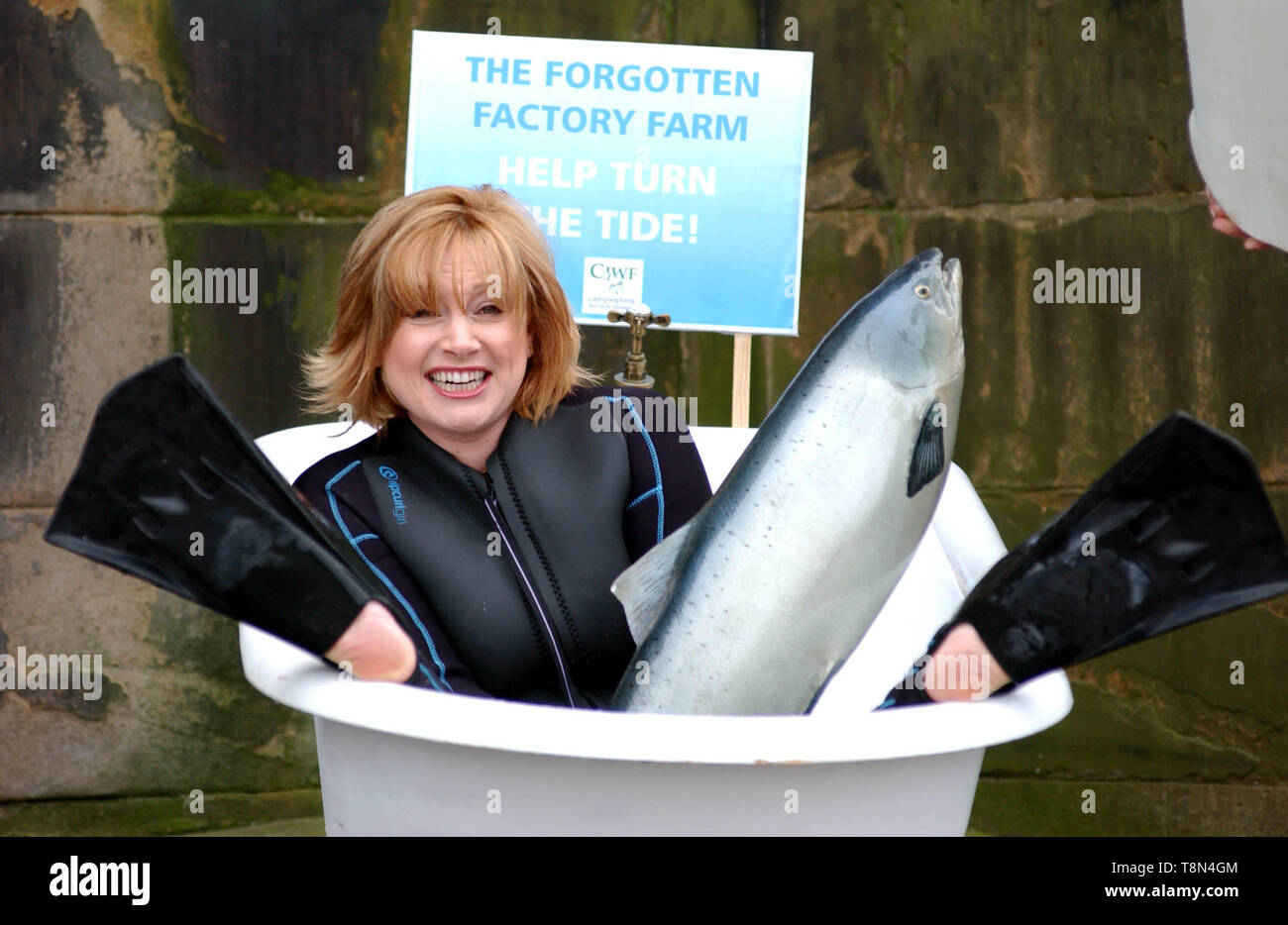 Présentateur TV vedette Wendy Turner ( Pet Rescue & absolument les animaux, sœur d'Anthea Turner ) se trouve dans un bain d'eau froide avec un modèle grandeur nature à l'extérieur du saumon Le Parlement écossais à Édimbourg ( aujourd'hui jeudi 31/1/02 ) pour mettre en évidence la recherche qui attire l'attention sur le sort des poissons d'élevage d'usine où la recherche les demandes peuvent être entassés dans des cages de 50 000 $ avec chaque poisson après avoir seulement l'équivalent d'une baignoire d'eau pour lui-même. Banque D'Images