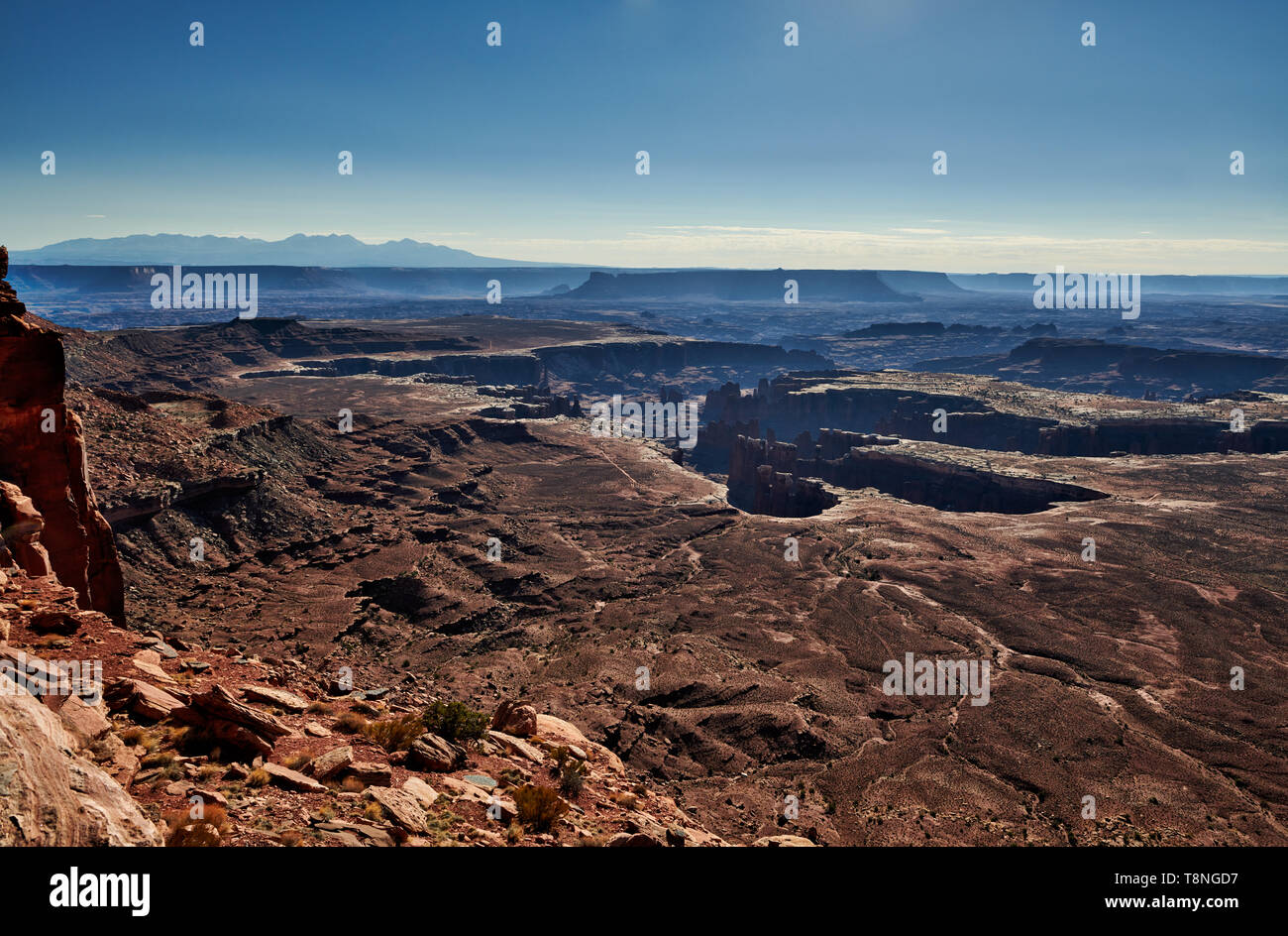 Le Grandview Point dans Canyonlands National Park, Île dans le ciel , Moab, Utah, USA, Amérique du Nord Banque D'Images