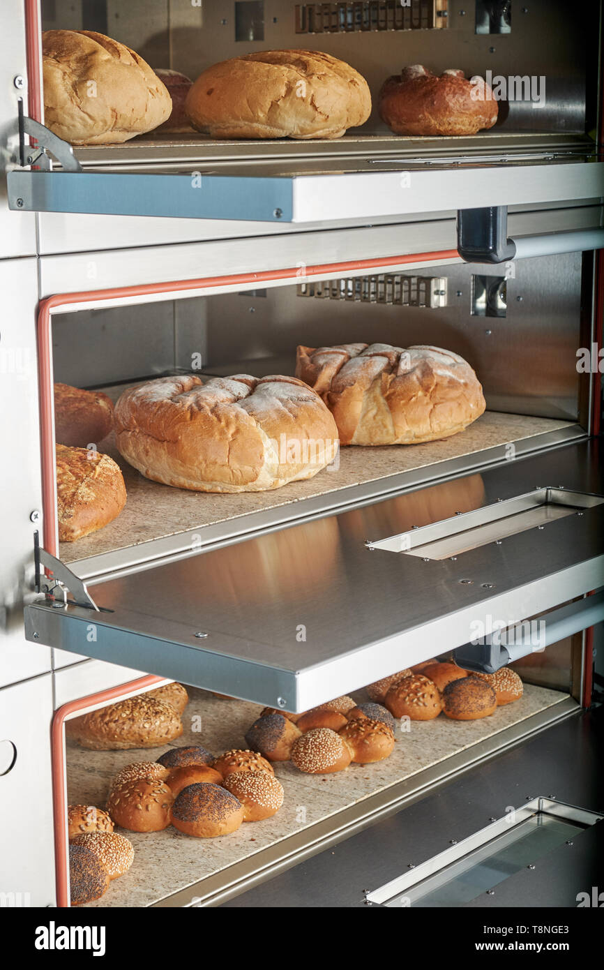 Four électrique industriel pour le traiteur avec set de la nourriture. Des produits de boulangerie Banque D'Images