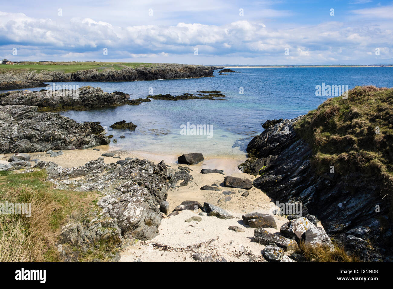 Petite plage de sable dans une crique rocheuse entre le Borthwen et Silver Bay, Rhoscolyn, Ile d'Anglesey, au Pays de Galles, Royaume-Uni, Angleterre Banque D'Images