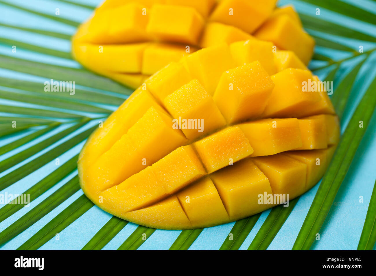 Mangue fraîche produit biologique sur une feuille de palmier. Fond bleu. Close up. Banque D'Images