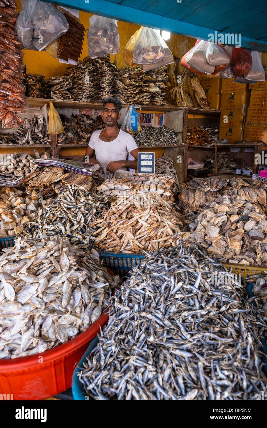 Fish shop Banque de photographies et d images a haute resolution Alamy