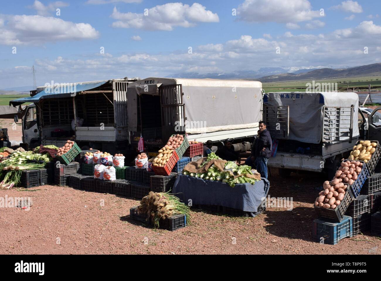 Jardiniers sur la rue sur 30.03.2019 près de Batna - Algérie. Dans le monde d'utilisation | Banque D'Images