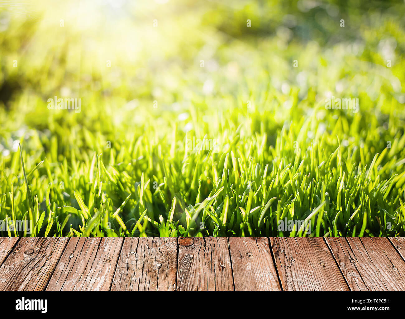 Jardin d'arrière-plan avec l'herbe verte et de planches en bois Banque D'Images