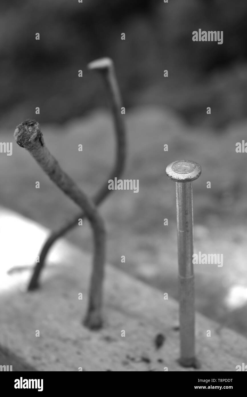 Photographie en noir et blanc d'une cheville et Rusty nails de travers comme une métaphore de caractère, de stabilité et de leadership Banque D'Images