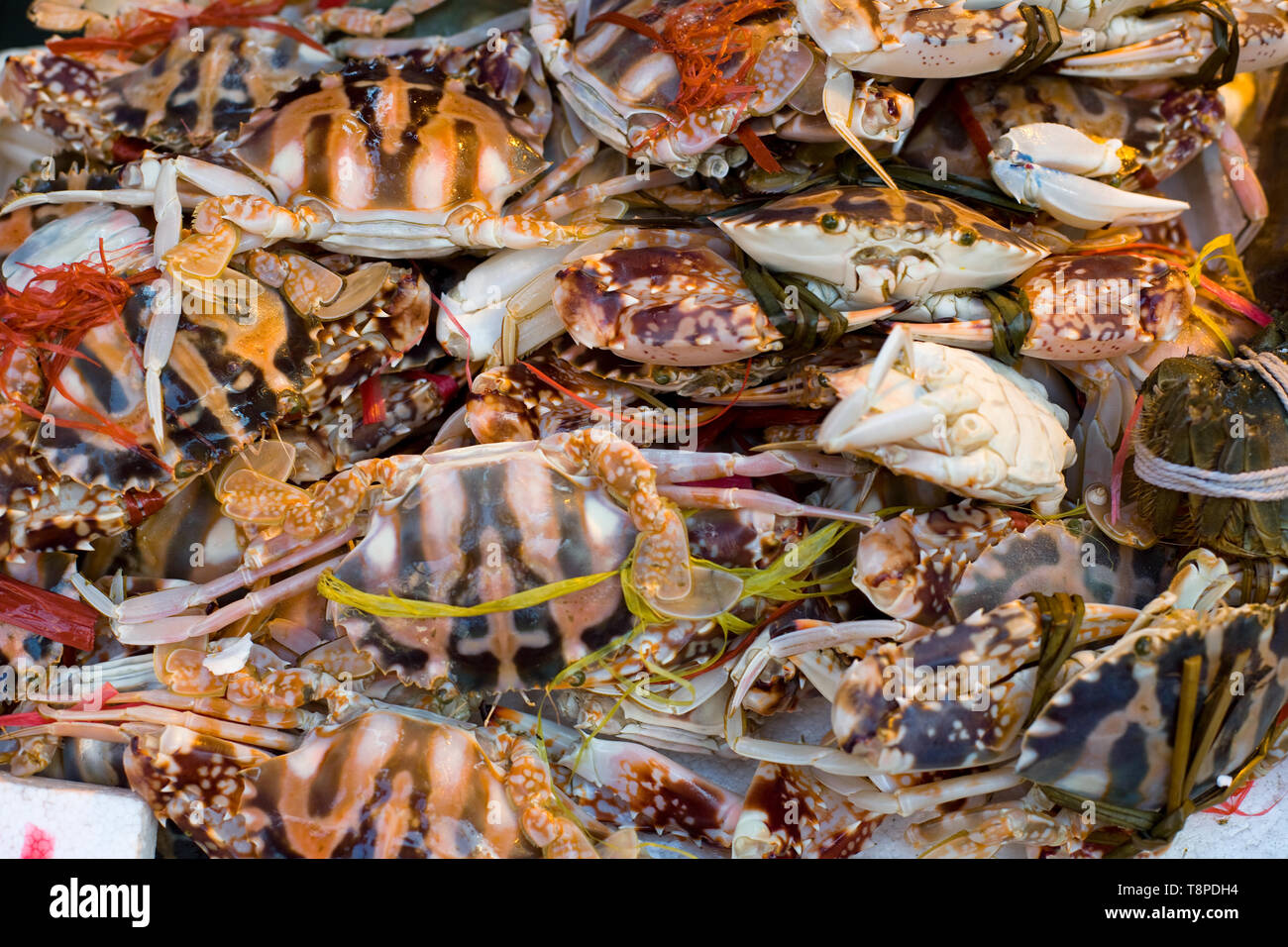 Les crabes sur les marchés de Chun Yeung Street, North Point, Hong Kong, l'Est de l'île de Hong Kong, Hong Kong, Chine Banque D'Images