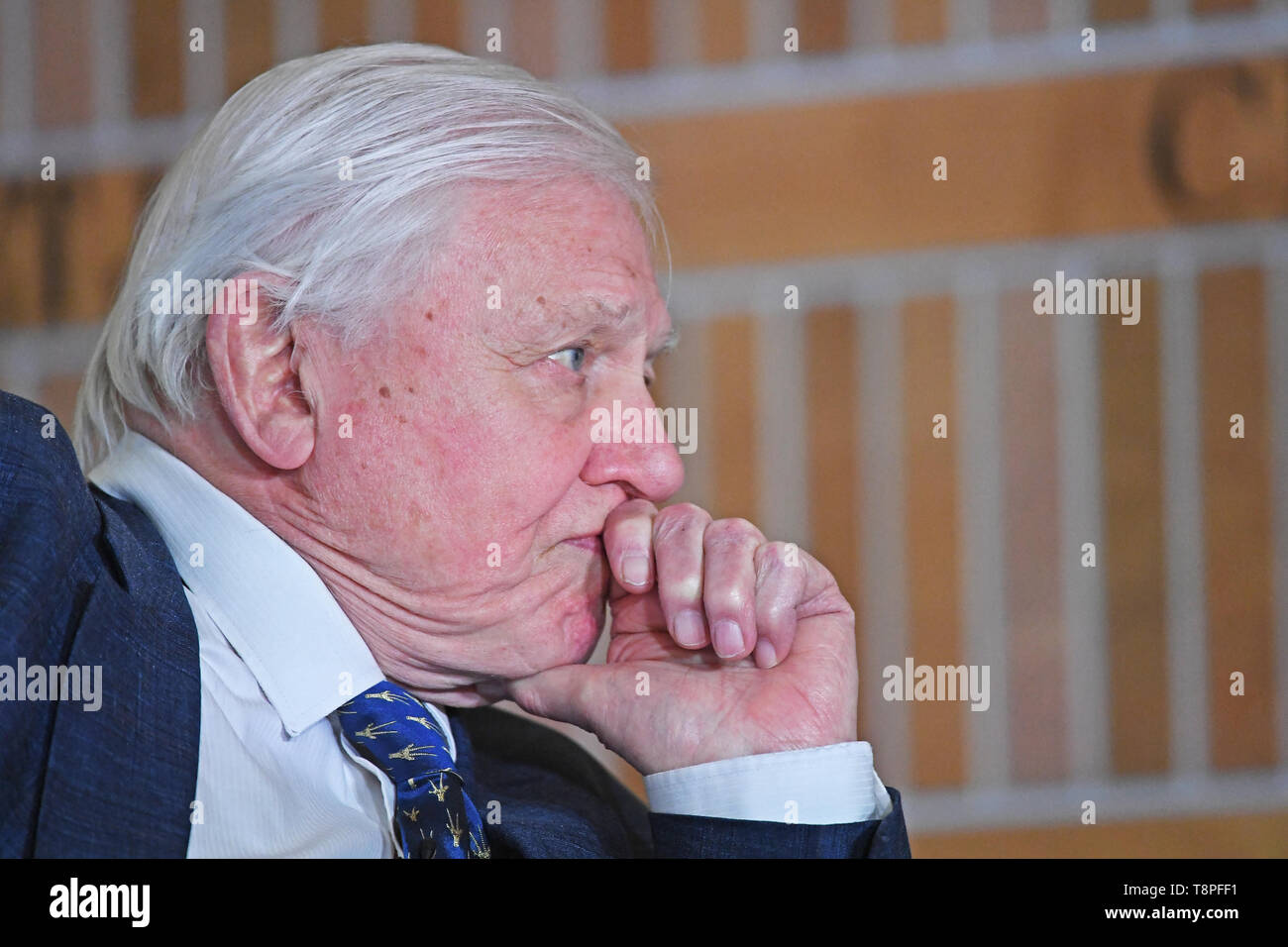 David Attenborough au Wall Street Journal Chef de la réunion du conseil, à l'Rosewood Hotel à Londres. Banque D'Images