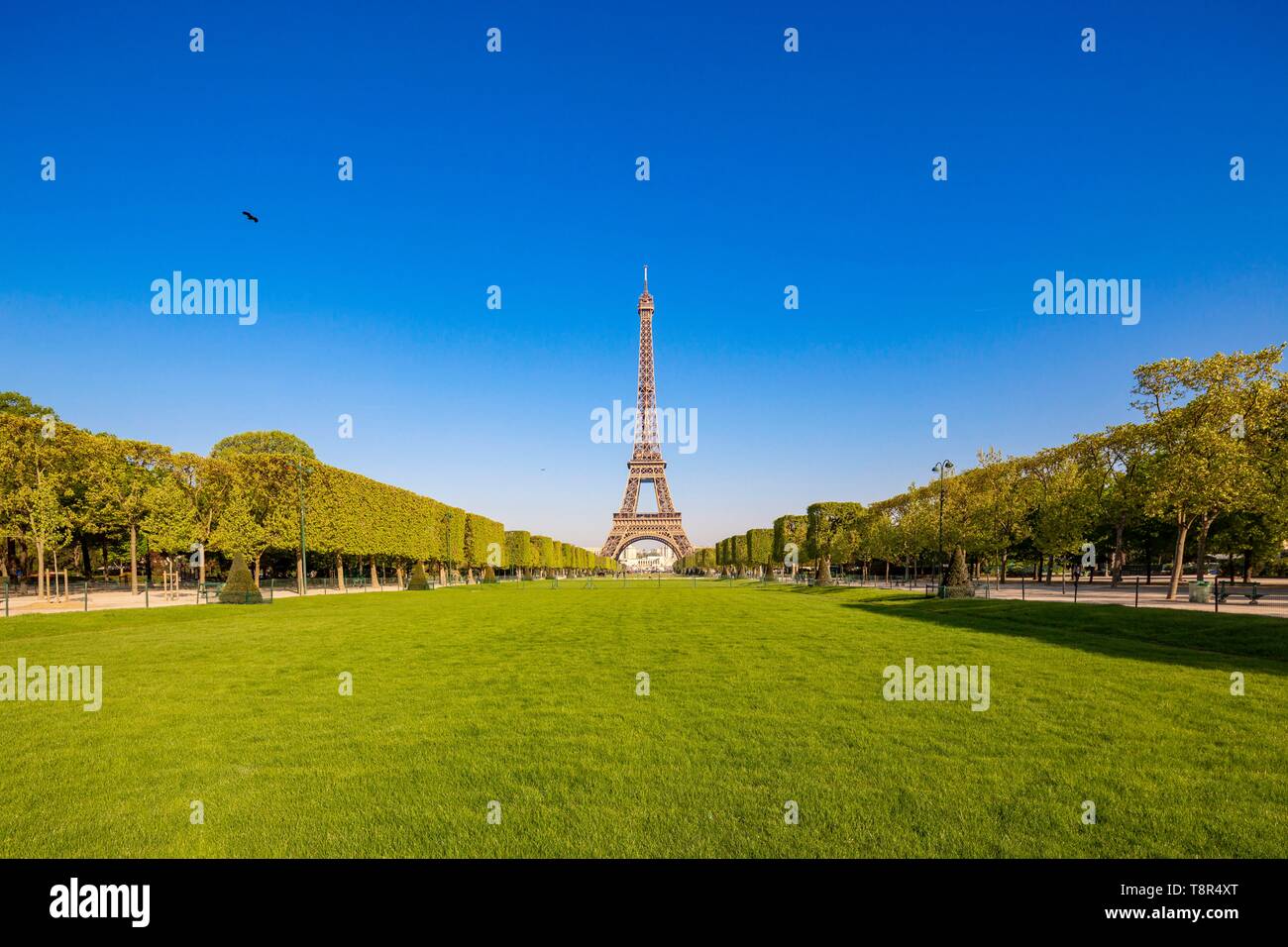 France, Paris, région classée au Patrimoine Mondial de l'UNESCO, le Champs de Mars et de la Tour Eiffel Banque D'Images