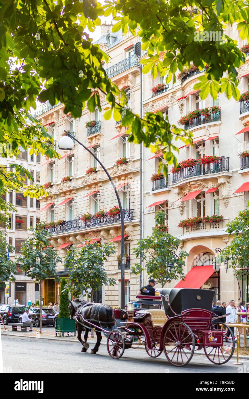 France, Paris, quartier des Champs Elysées, Avenue Montaigne Banque D'Images