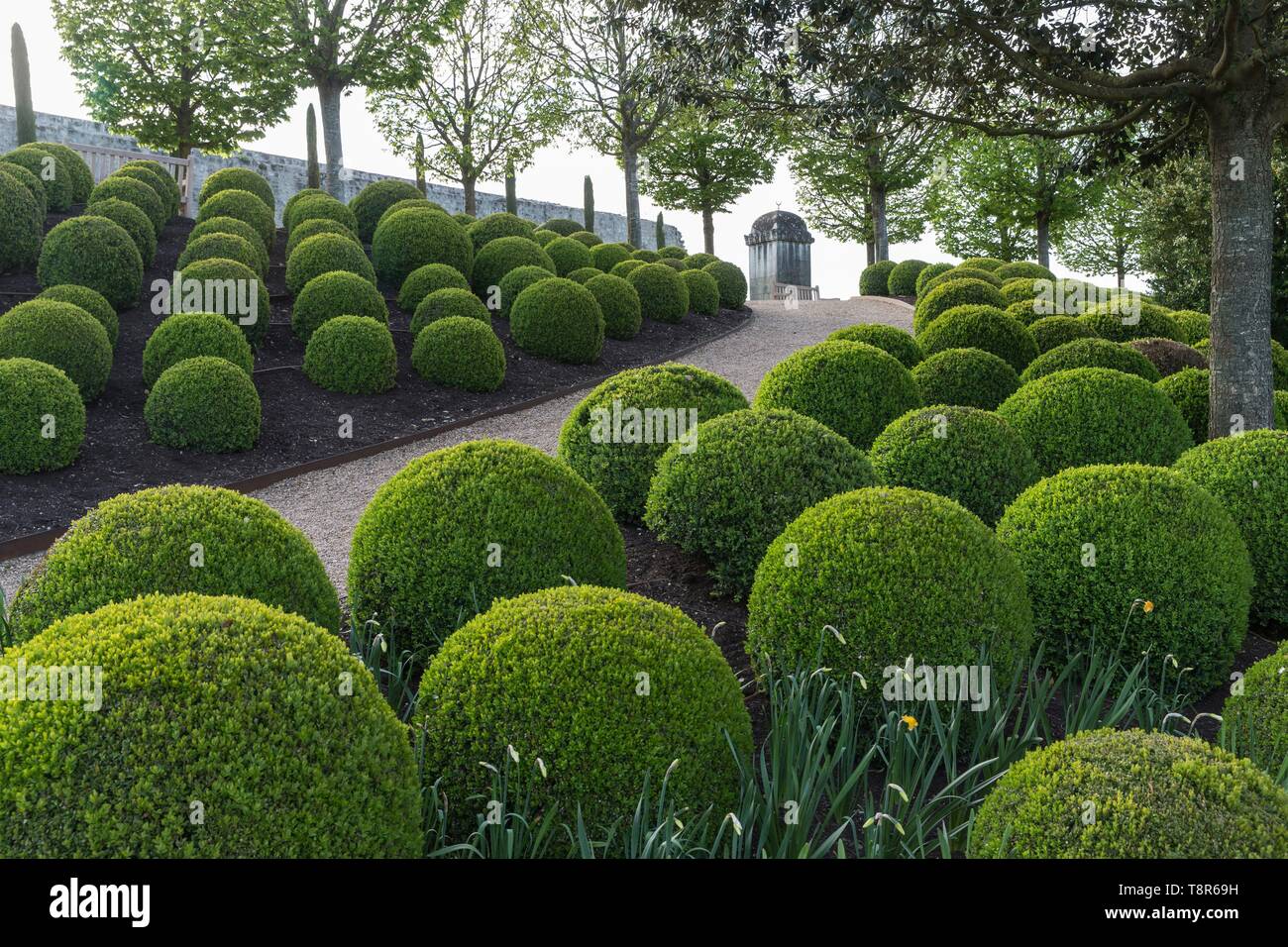 France, Indre et Loire, Vallée de la Loire classée au Patrimoine Mondial de l'UNESCO, Amboise, Château d'Amboise, les jardins du château d'Amboise Banque D'Images