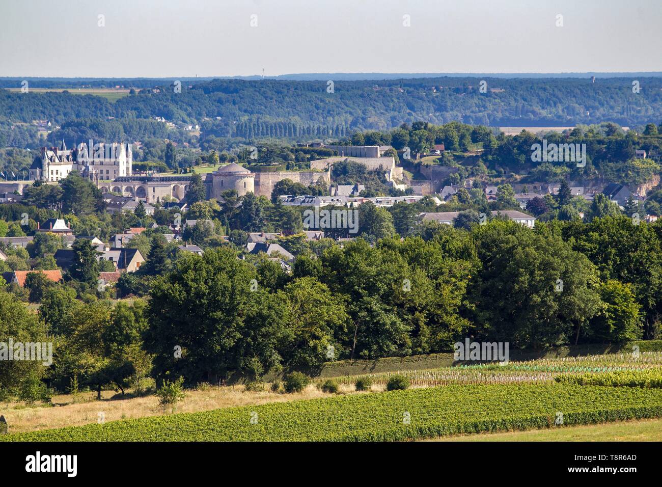 France, Indre et Loire, Vallée de la Loire classée au Patrimoine Mondial de l'UNESCO, Amboise, Château d'Amboise Banque D'Images