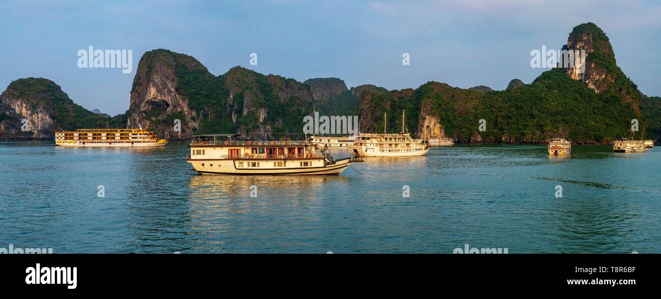 Vietnam, golfe du Tonkin, la province de Quang Ninh, la baie d'Ha Long (Vinh Ha Long) inscrite au Patrimoine Mondial de l'UNESCO (1994), emblématiques de reliefs karstiques, les bateaux de croisière Banque D'Images