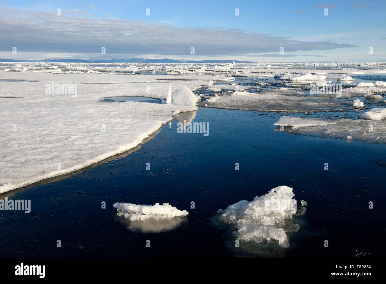 Le Groenland, côte nord-ouest, le détroit de Smith au nord de la baie de Baffin, la fonte de morceaux de glace de mer arctique Banque D'Images