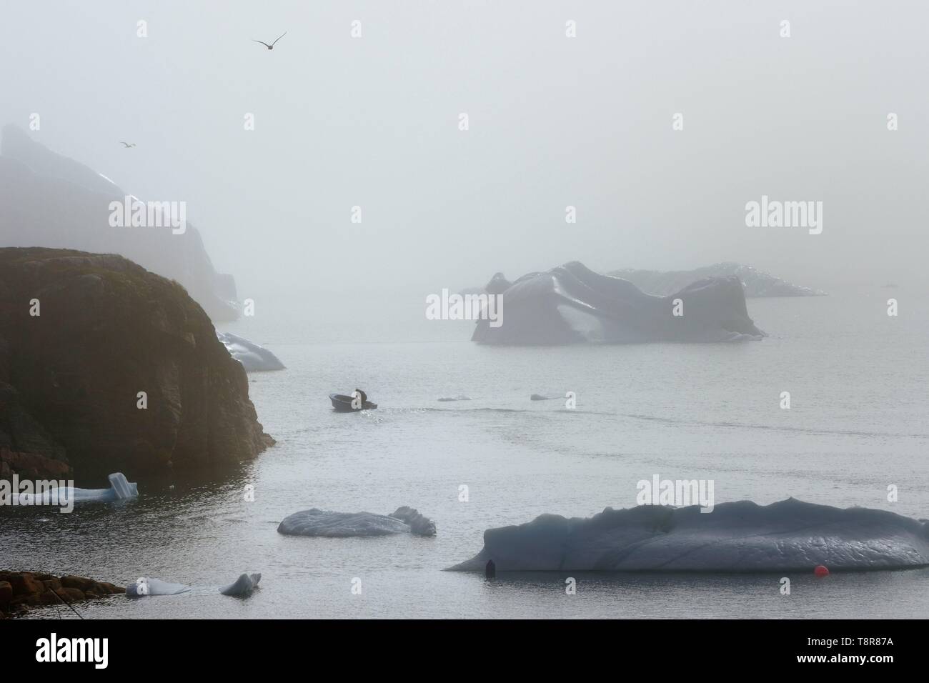 Le Groenland, côte ouest, l'île Disko, Qeqertarsuaq village bay, les icebergs dans le brouillard Banque D'Images