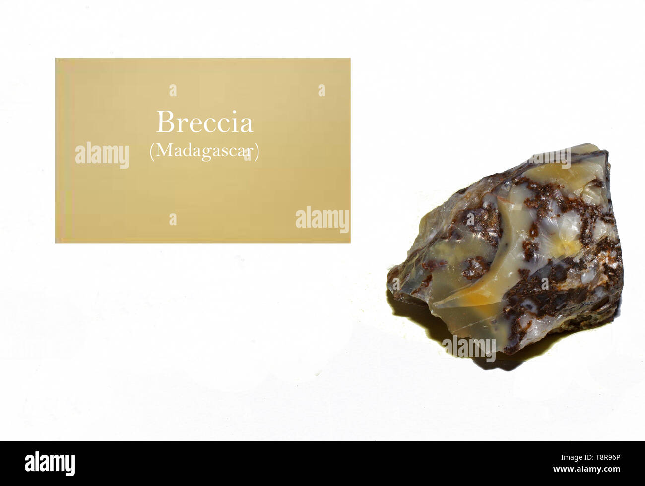 Roche bréchique de Madagascar close-up Banque D'Images