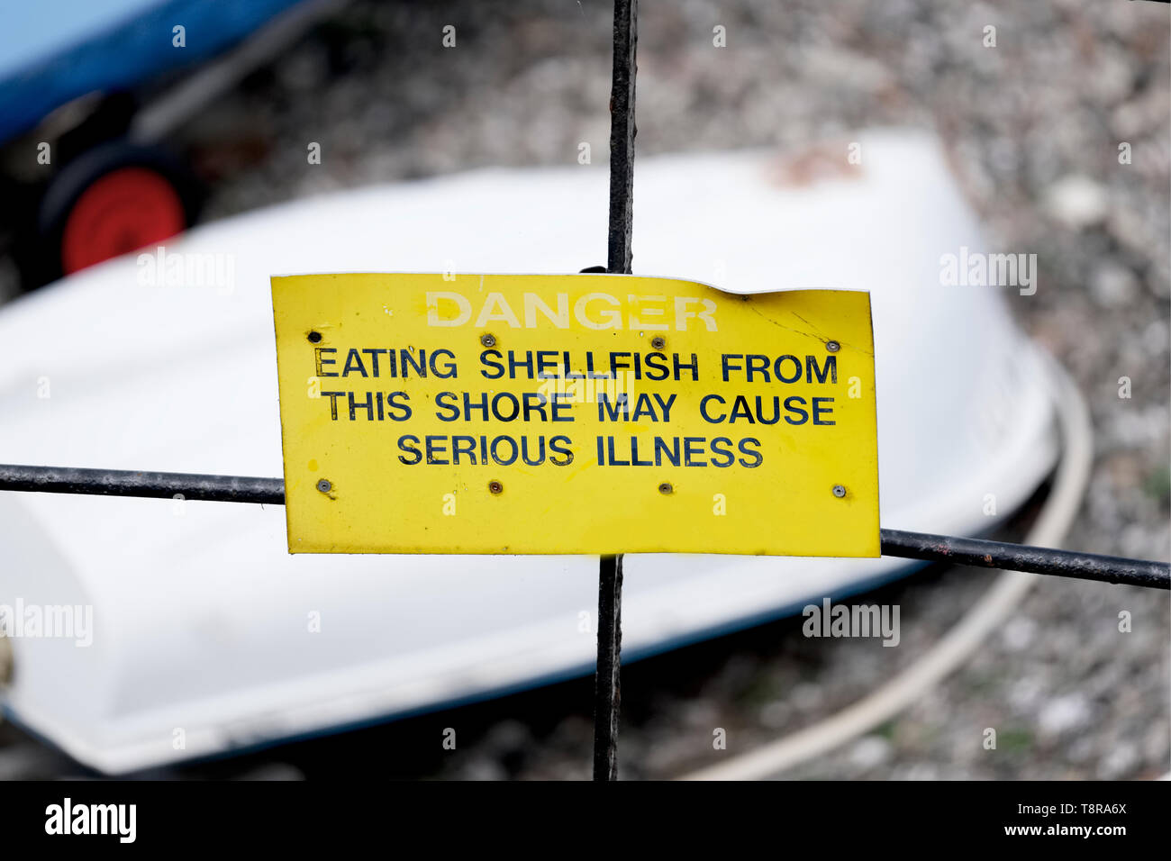 Danger La consommation de mollusques peut provoquer des maladies graves warning sign at beach Banque D'Images