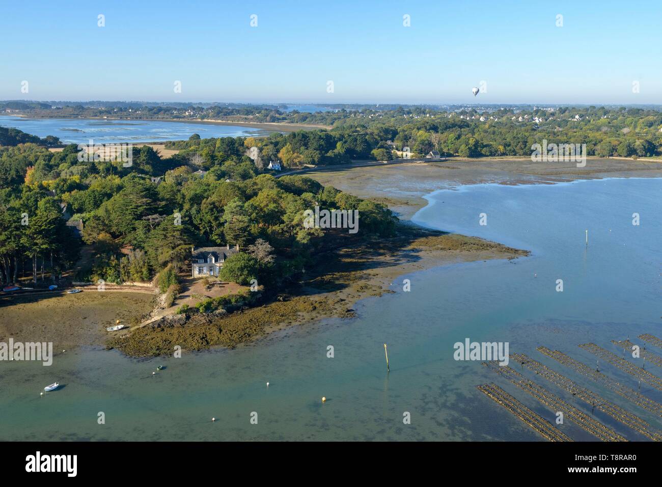 France, Morbihan, Ile-aux-Moines, vue aérienne du Golfe du Morbihan et l'île de moine Banque D'Images