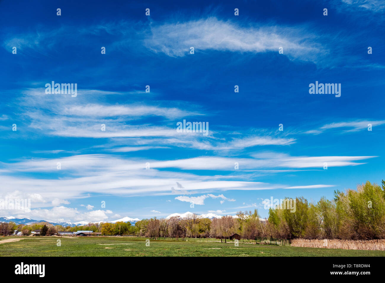 Beau ciel bleu avec des nuages cirrus ; enneigés des montagnes Rocheuses à l'horizon ; Vandaveer Ranch ; Salida, Colorado, USA Banque D'Images