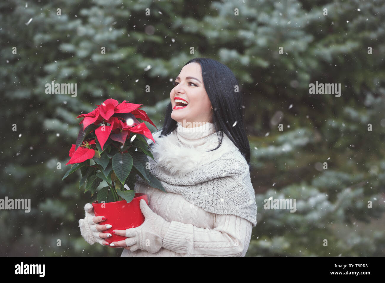 Smiling Woman Holding Pot avec Noël poinsettia rouge l'extérieur. Selective focus on woman Banque D'Images