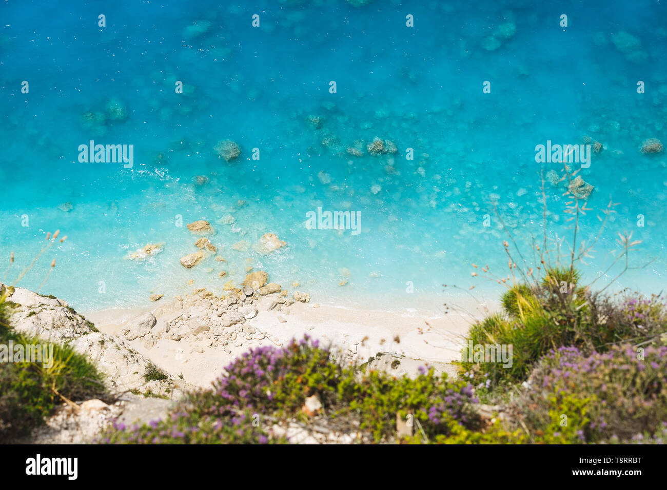 Vue aérienne de la plage sauvage de sable à l'eau claire. La floraison du thym sauvage au bord de la falaise, beau fond de plage Banque D'Images