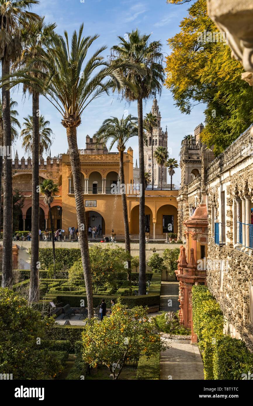 Beau jardin luxuriant à l'Alcazar Seville Espagne Banque D'Images