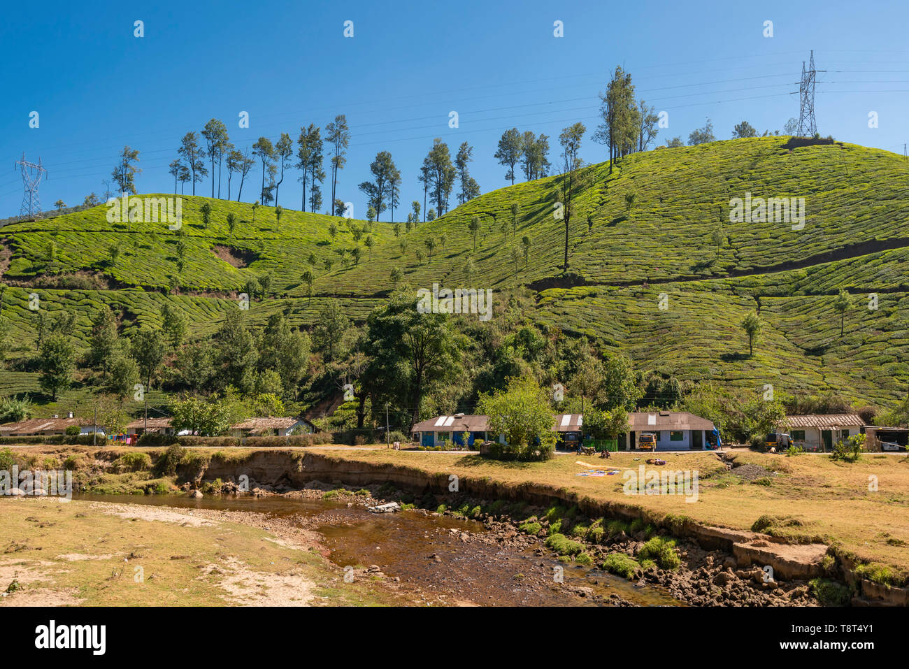 Vue horizontale d'une rangée de maisons à flanc de colline en face d'une rivière de Munnar, Inde. Banque D'Images