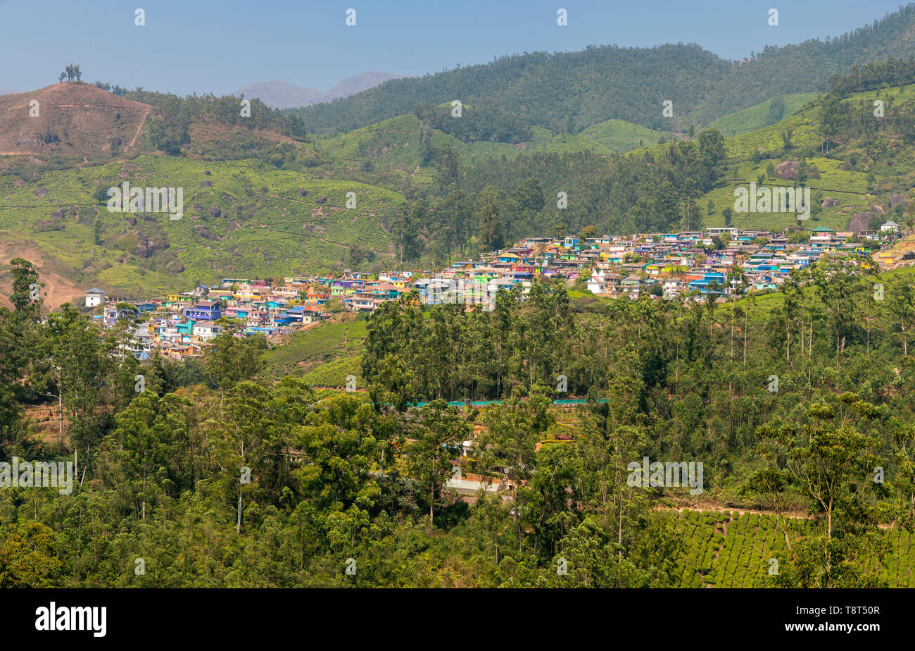 Vue horizontale de la couleur nouvelle colonie de Munnar, Inde. Banque D'Images