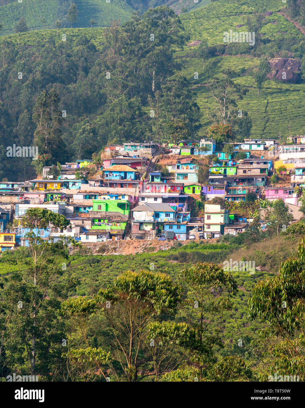 Vue verticale de la nouvelle colonie colorés de Munnar, Inde. Banque D'Images