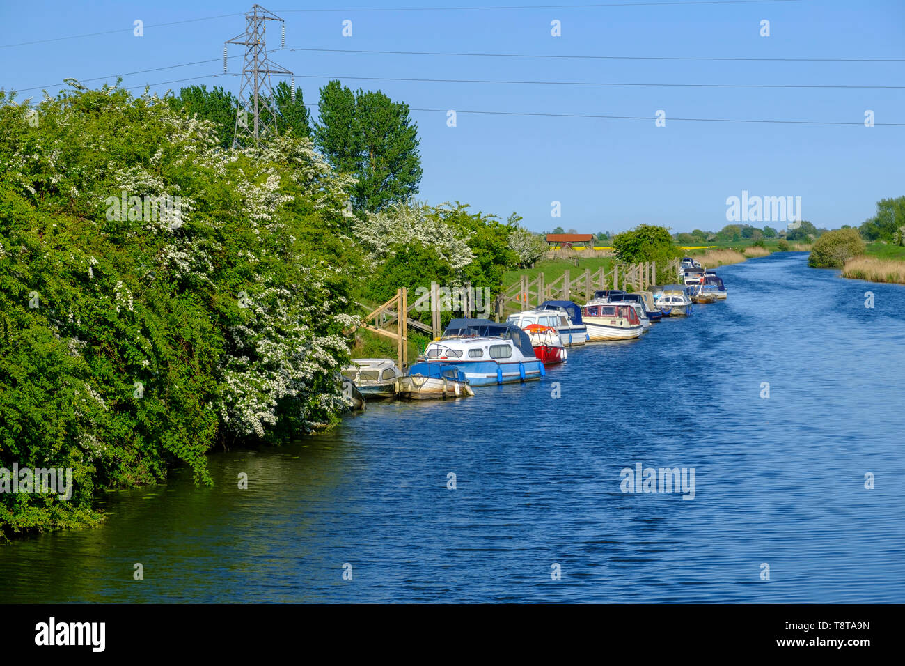 Bateaux amarrés sur la rivière Rother près de Iden, East Sussex, UK Banque D'Images