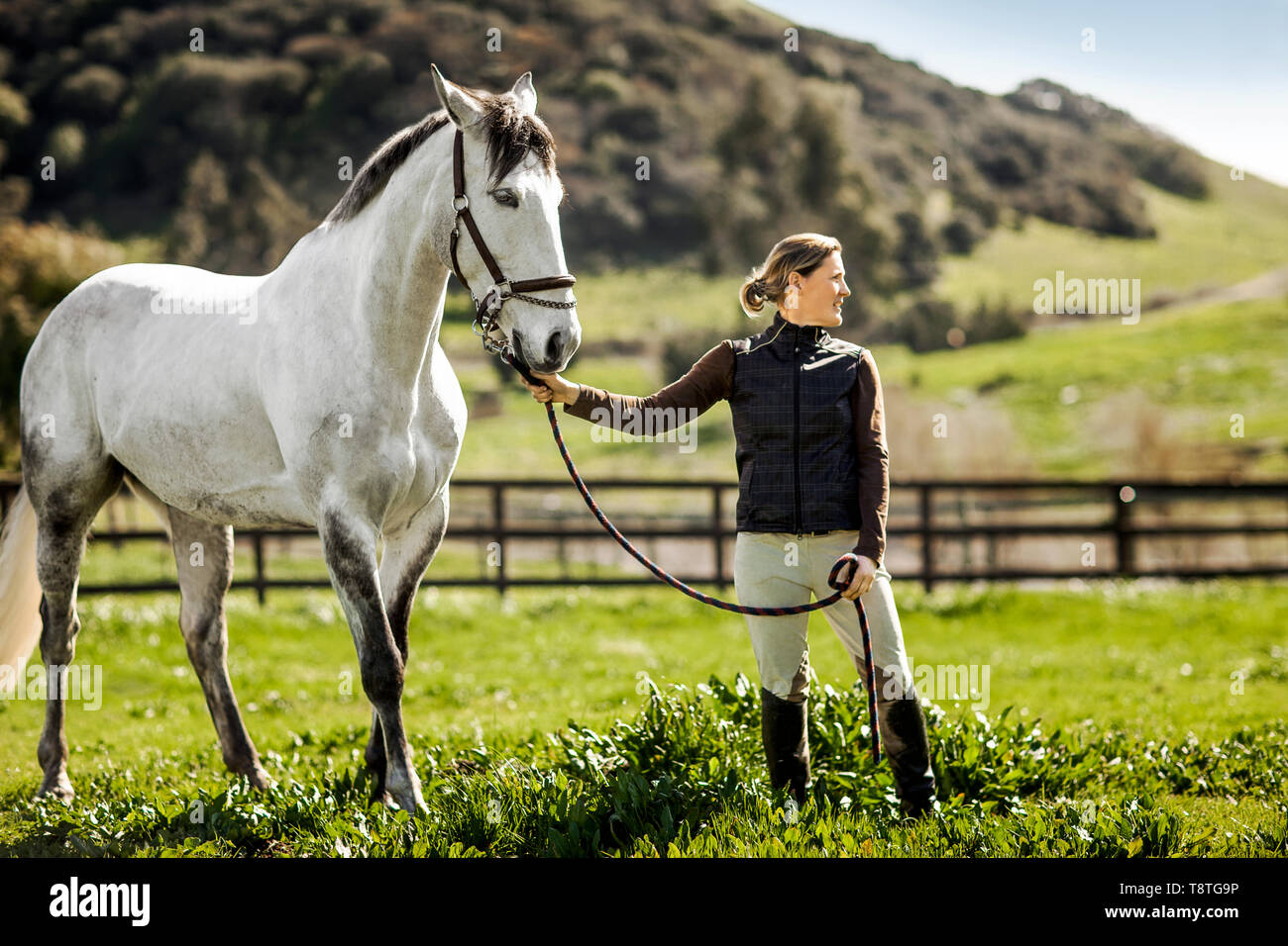Mid adult woman standing avec son cheval dans un vert pâturage. Banque D'Images