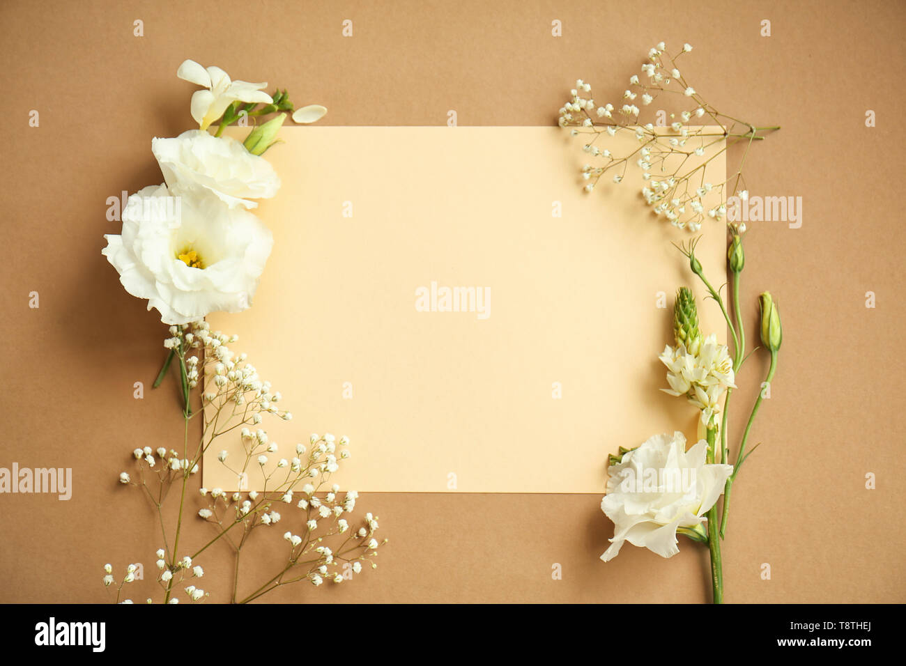 La composition avec de belles fleurs et carte vierge sur un fond de couleur Banque D'Images