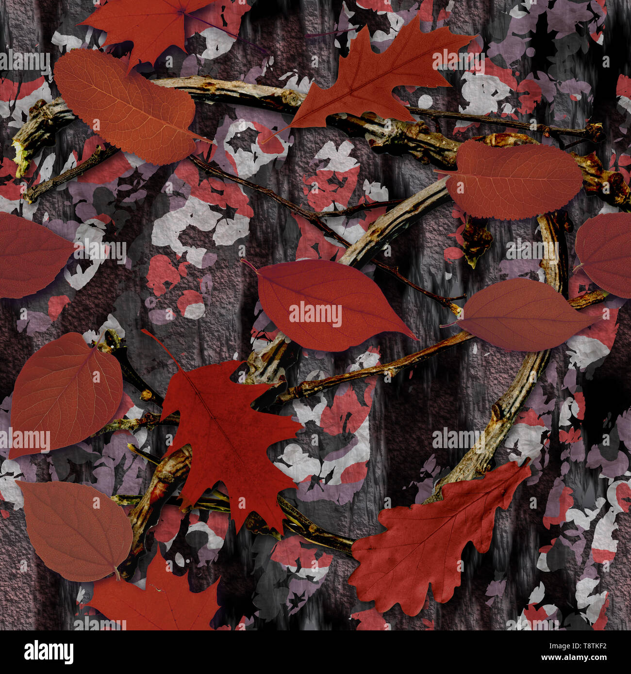 Bois naturel commun rouge Camouflage Seamless Texture Tile Banque D'Images