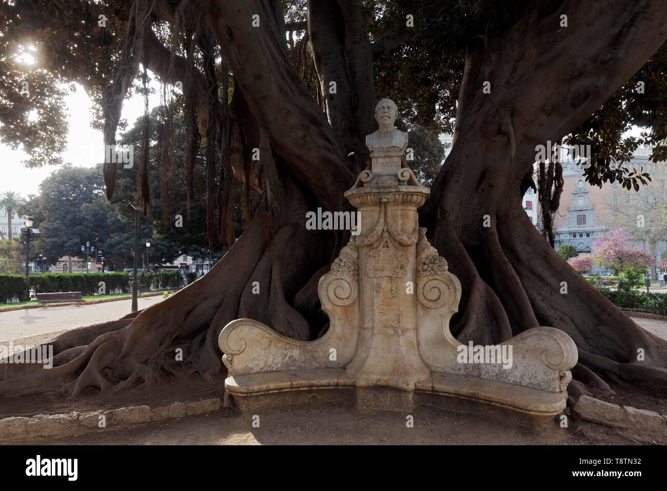 Monument du peintre Munoz Degrain sous un arbre immense, Moreton Bay fig (Ficus macrophylla), Parc Glorieta, Jardins de la Glorieta, Valencia, Espagne Banque D'Images