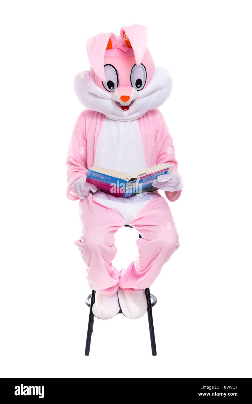 Taille de la vie avec costume de lapin livre sur fond blanc. Lapin de Pâques lit le livre, reçoit une éducation, essayant d'être intelligent Banque D'Images