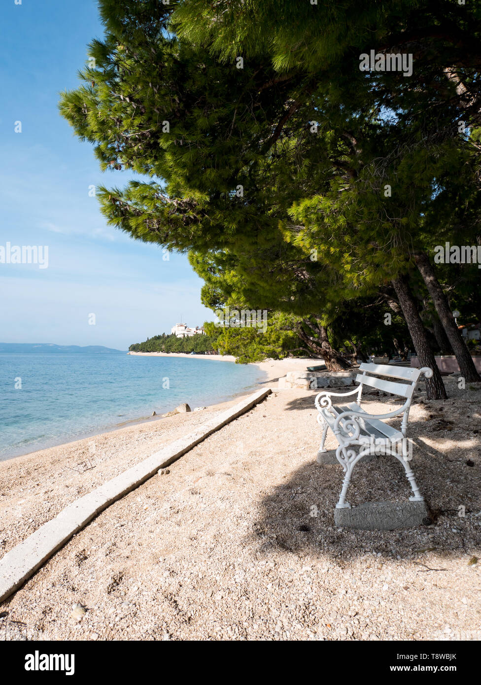 Banc en bois blanc sur la plage vide sous les pins à Tucepi, Croatie Banque D'Images