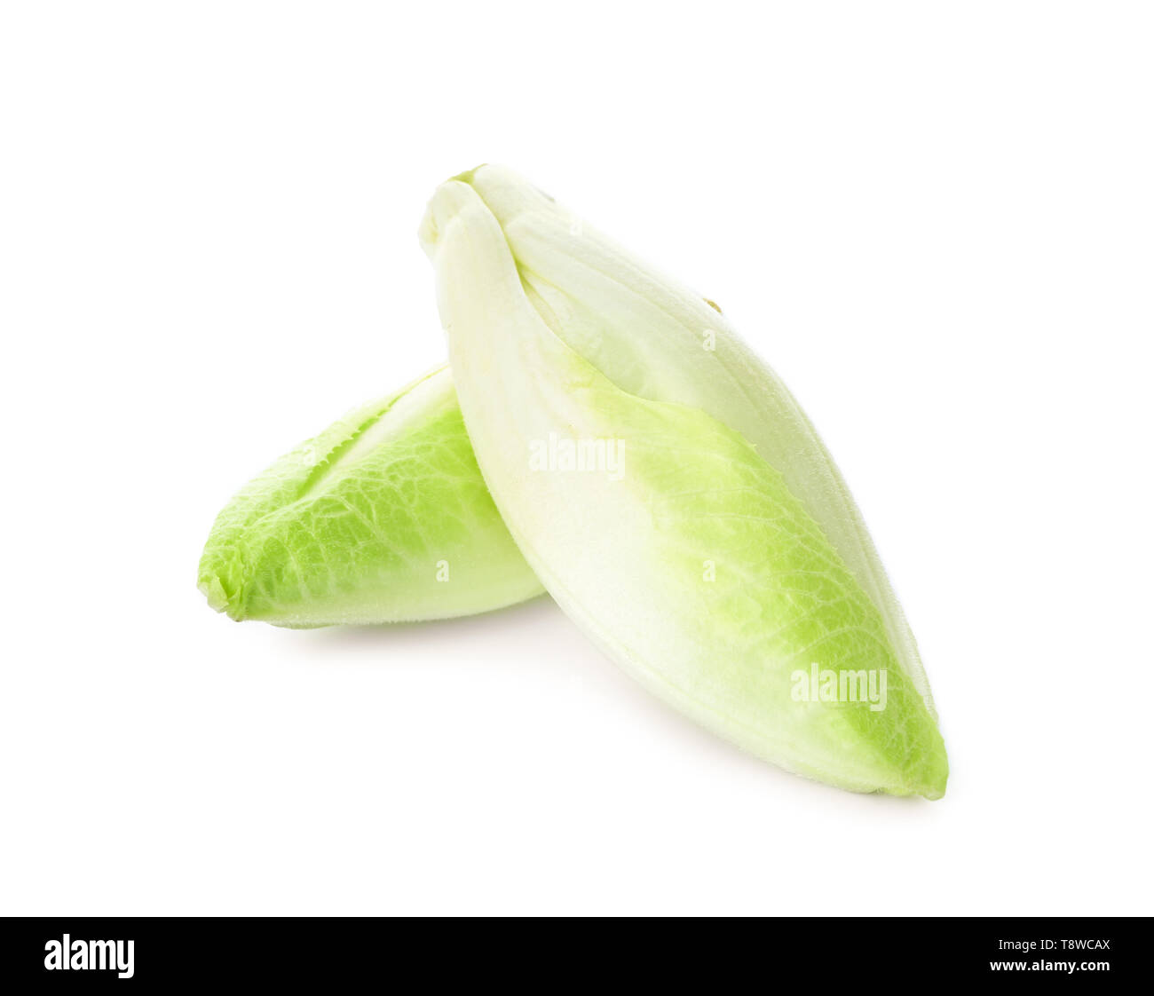Chou frais sur fond blanc Banque D'Images