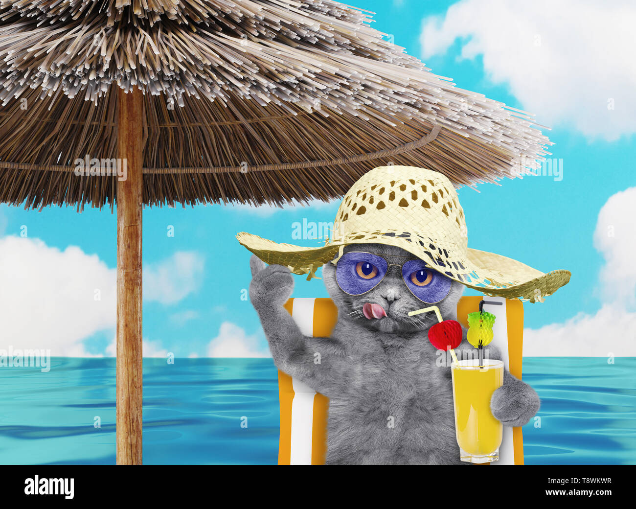 Chat Mignon Et Vous Reposer Sur La Plage Avec Parasol Chaise Longue Sous Jus Au Beach Ocean Shore Les Vacances D Ete Vacances 3d Render Photo Stock Alamy