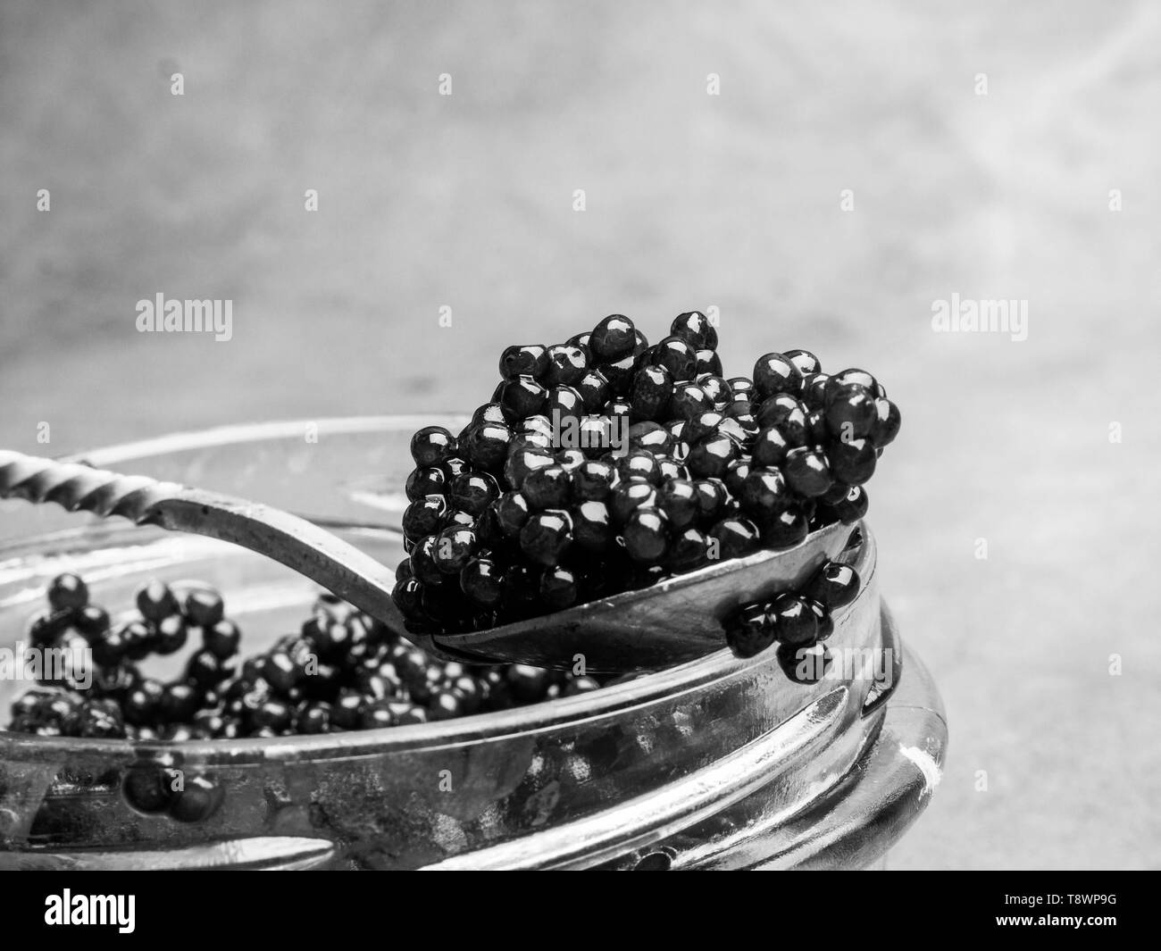 Avec bol en verre et cuillère à caviar noir isolé sur fond gris, copy space Banque D'Images