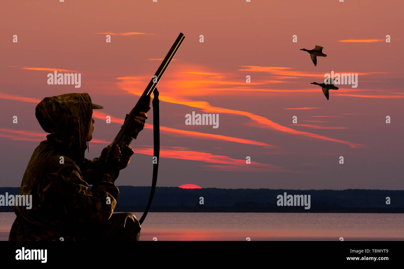 Silhouette d'un chasseur de canard au fond coucher de soleil Banque D'Images