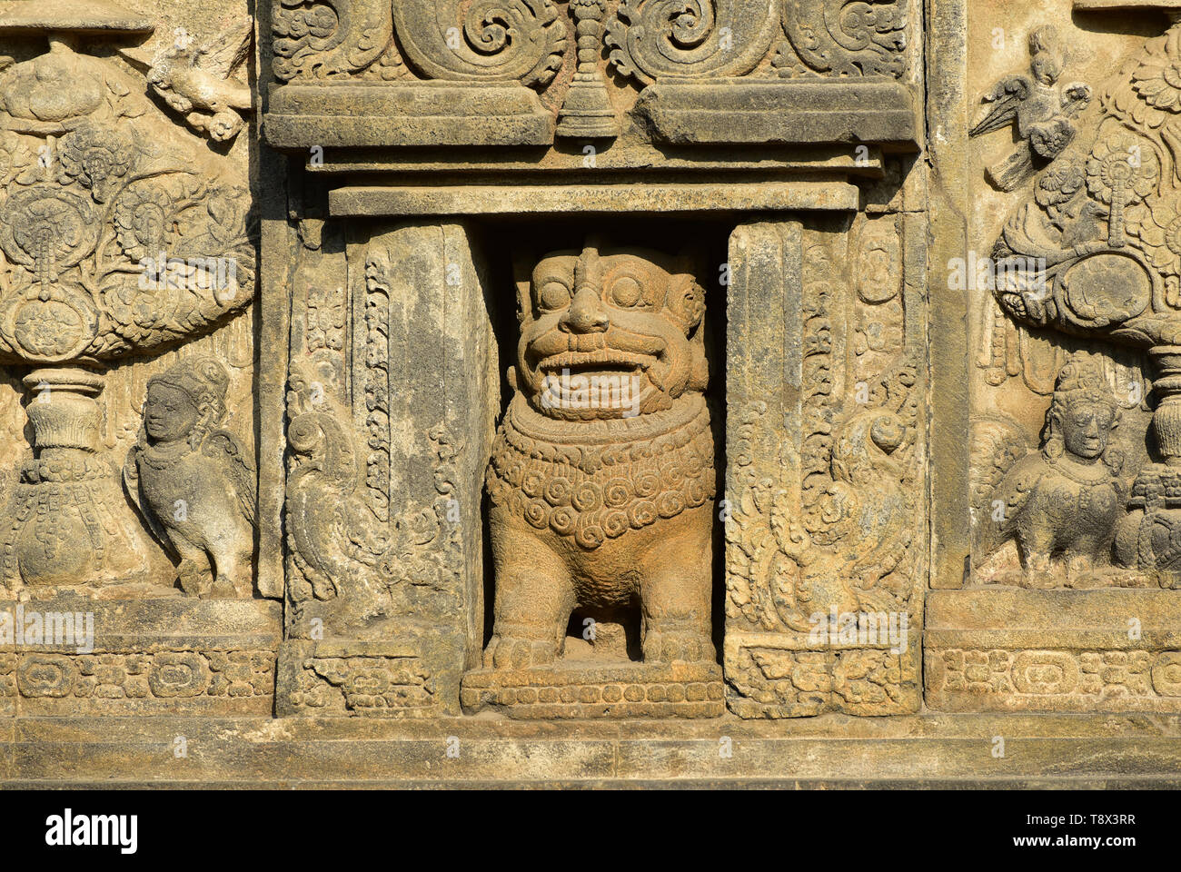 Lion Gros plan du bas-relief. Détail de la sculpture sur pierre. Temple bouddhiste de Borobudur, Indonésie Banque D'Images