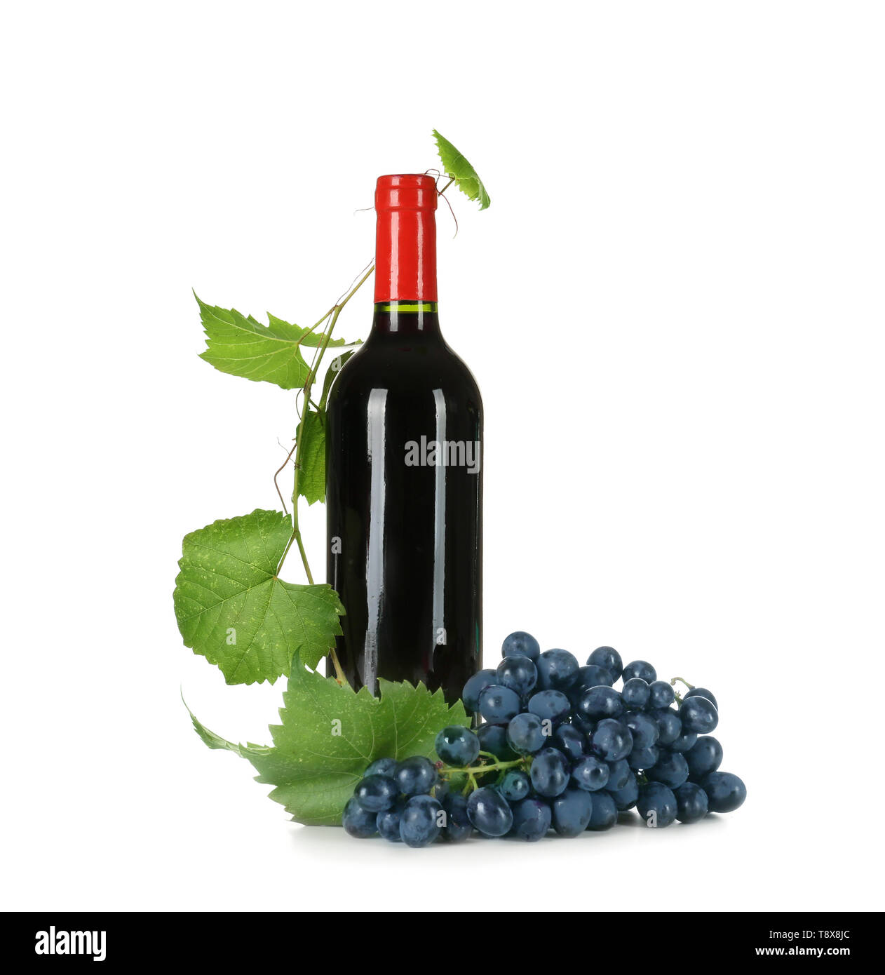 Bouteille de vin rouge avec des raisins sur fond blanc Banque D'Images