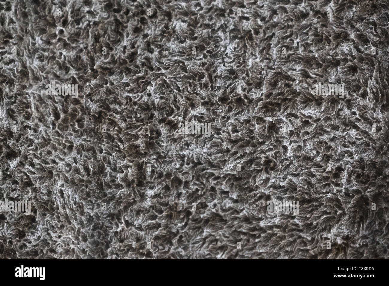 Abstract pattern ou sworls et boucles - Close-up de la lumière à travers le tissu éponge, presque monochrome. Banque D'Images